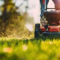 Low angle of a man pruning horticulture or hedge lawnmower machine cutting or trimming grass outdoors in his backyard on a sunny summer or spring day. House maintenance work or hobby, leisure activity